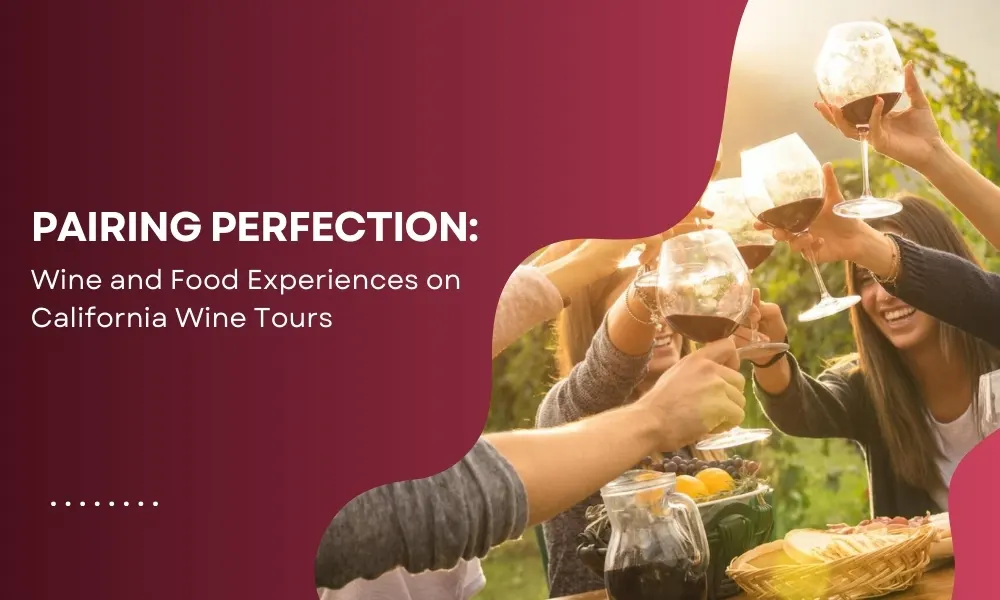 Pairing Perfection: Wine and Food Experiences on California Wine Tours